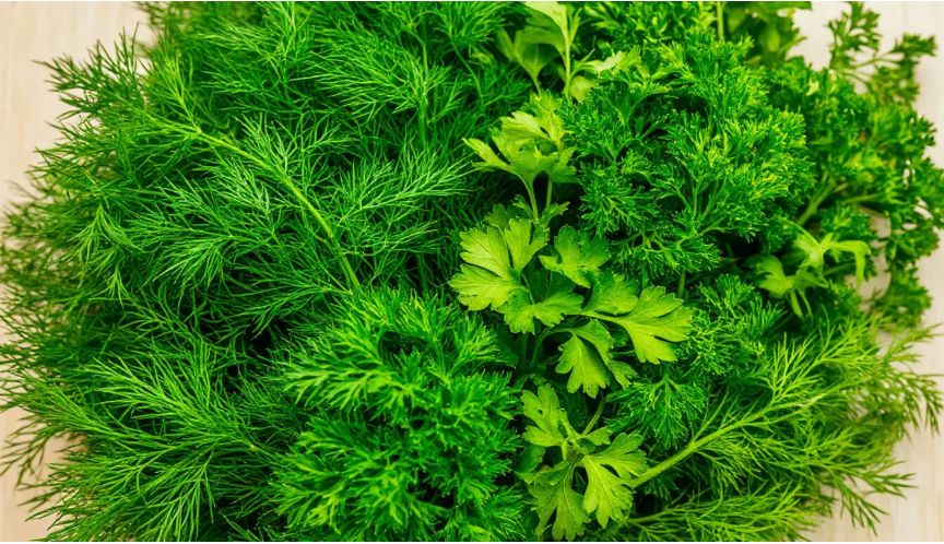 ��� ��������� �������� ���� �� ����: �������� ���������