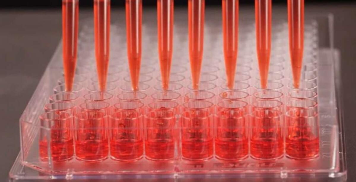 ������������� ���������: ��������� � ������� �������������