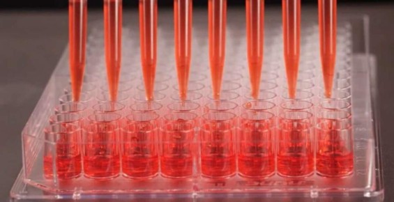 ������������� ���������: ��������� � ������� �������������