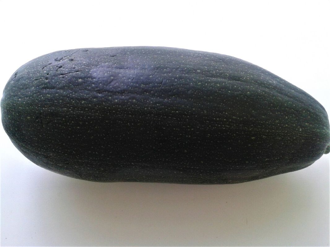 ��������� ������ ����� � �������� � ��������