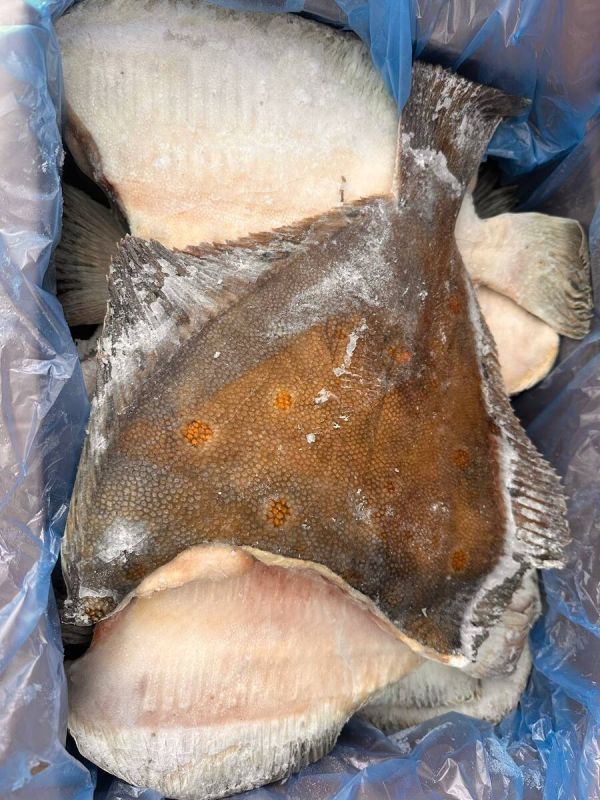 ������� �� ������� ����: �������� � �������� �� ��������� ����