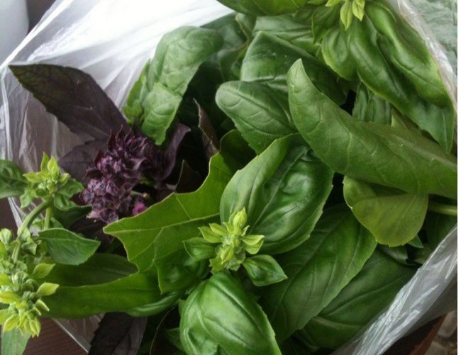 ��� ��������� ������ ������ �� ������ �����: ������� ������