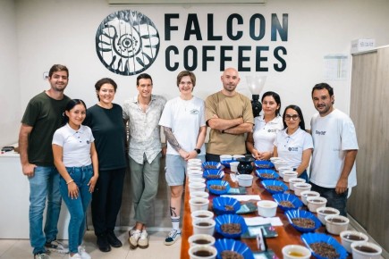 Перуанские кофейные фермы: новый взгляд на мир кофе