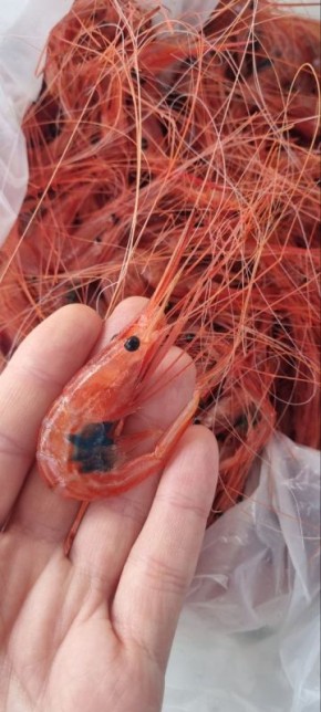 ��� �������� ���� ���������: ��� � ������ ������������