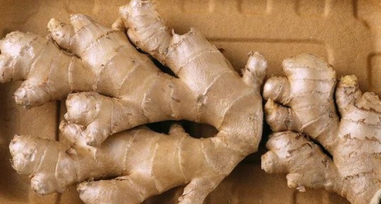 Имбирь: откройте новые горизонты в кулинарии с удивительными рецептами