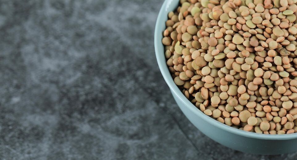 �������� ��� ������������ ����: ������ ����������������