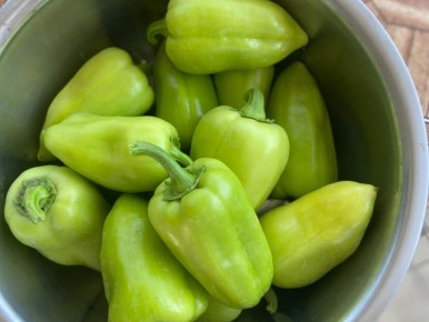 ��������� ������������� �����, ������� ������ � ��������