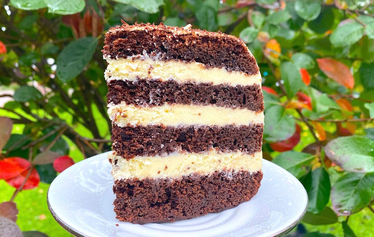 ���������� ���� � �����������: ��������� ��������� �� ������ ����