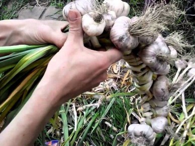 ��� ������ � ������ ��������� ������ �� ����