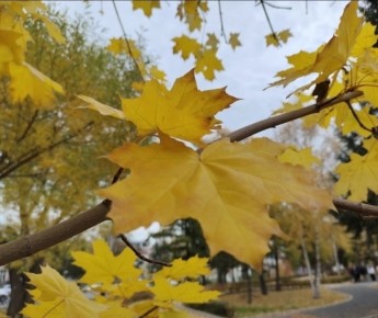 ������ �� ����� � ����������� ����������: ��� ���� �������� �������