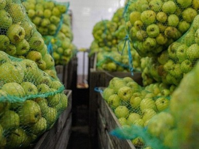 ������� ����� � ���� ����� �������, ����� ���������� ��������?