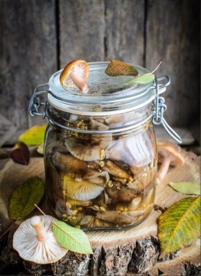 ������� ������������ �����: ������� ���������� �������