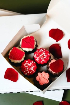 ������� �������� �� ������� Zhirnova � ��� ���� ����������