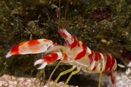 ����� ����� ������ � ������: ��� ��������� �������� ����� ��������� ��������