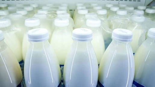 ��������, ���������� ������ ������: ��� ����� ��������� �� �������