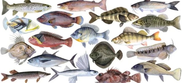 ���� �� ����� �����: ����� ���� ��������� �������� � ������������