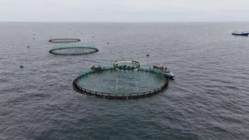 ������������� ������ �� ������: ������� �������� ����������� � ������